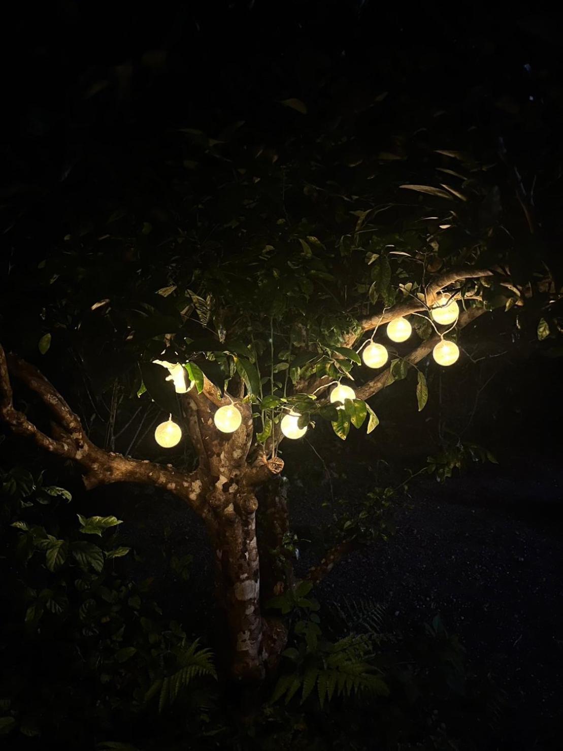 Yama'Oto - Nature Luxury Stay Motobu Exterior photo